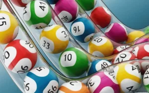rajshree lotto