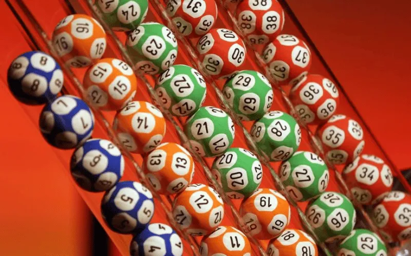rajshree lotto